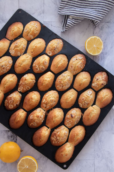 Classic madeleines