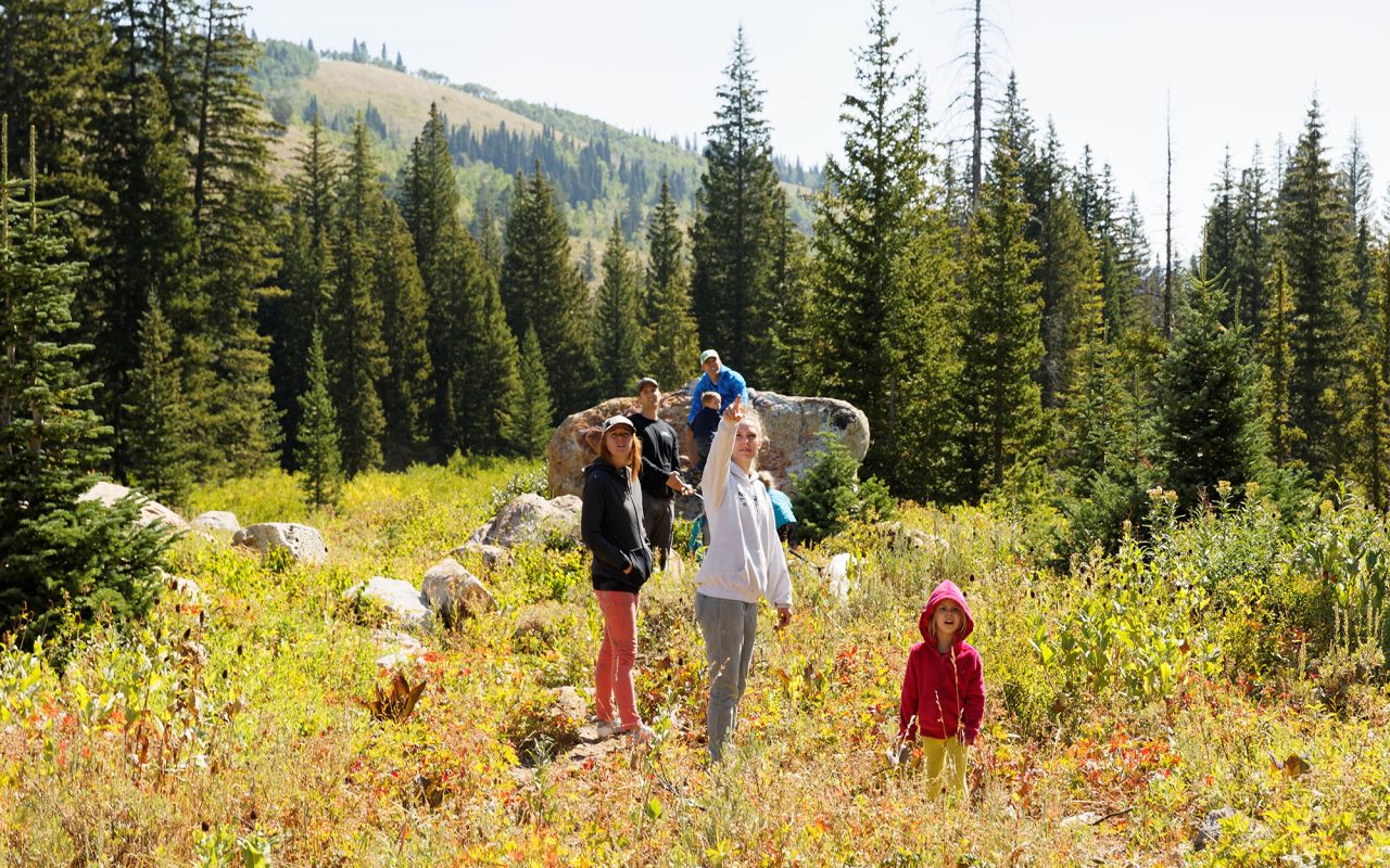 Fall/Winter Family Itinerary: 6 Days Logan to Jackson to Yellowstone | Photo Gallery | 5 - Tony Grove in  Logan Canyon