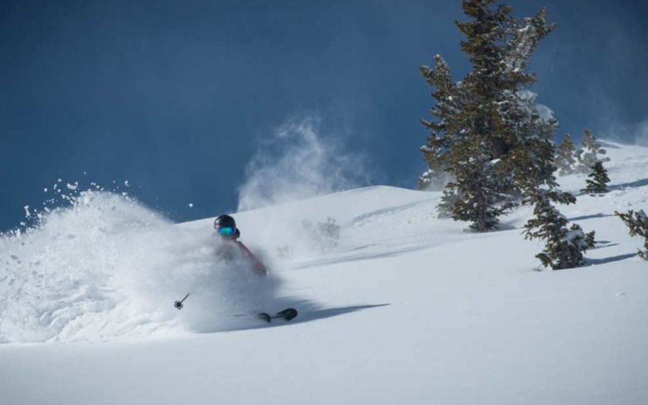 Alta Ski Area | Photo Gallery | 7 - Skier in Fresh Powder