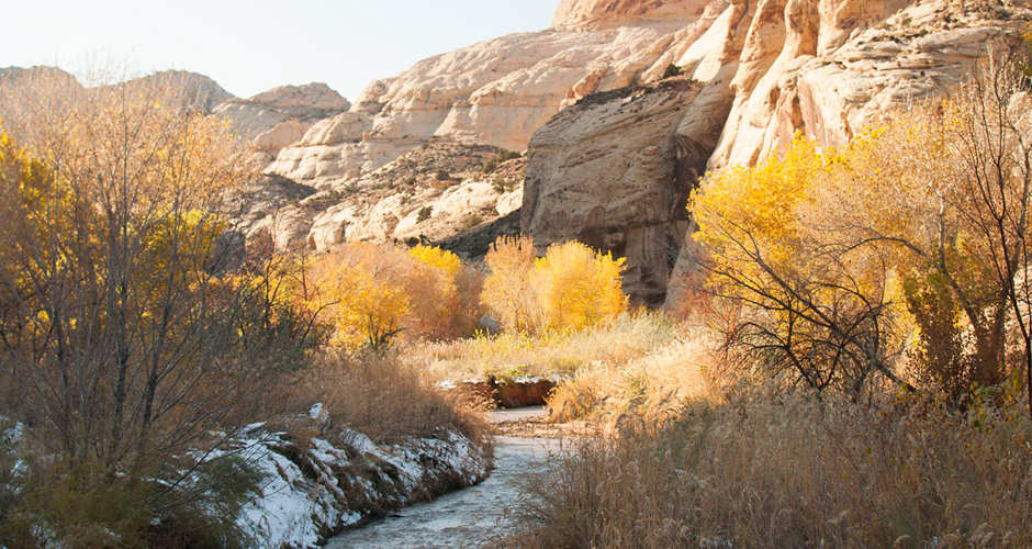 Winter in Capitol Reef | Photo Gallery | 1 - Capitol Reef National Park