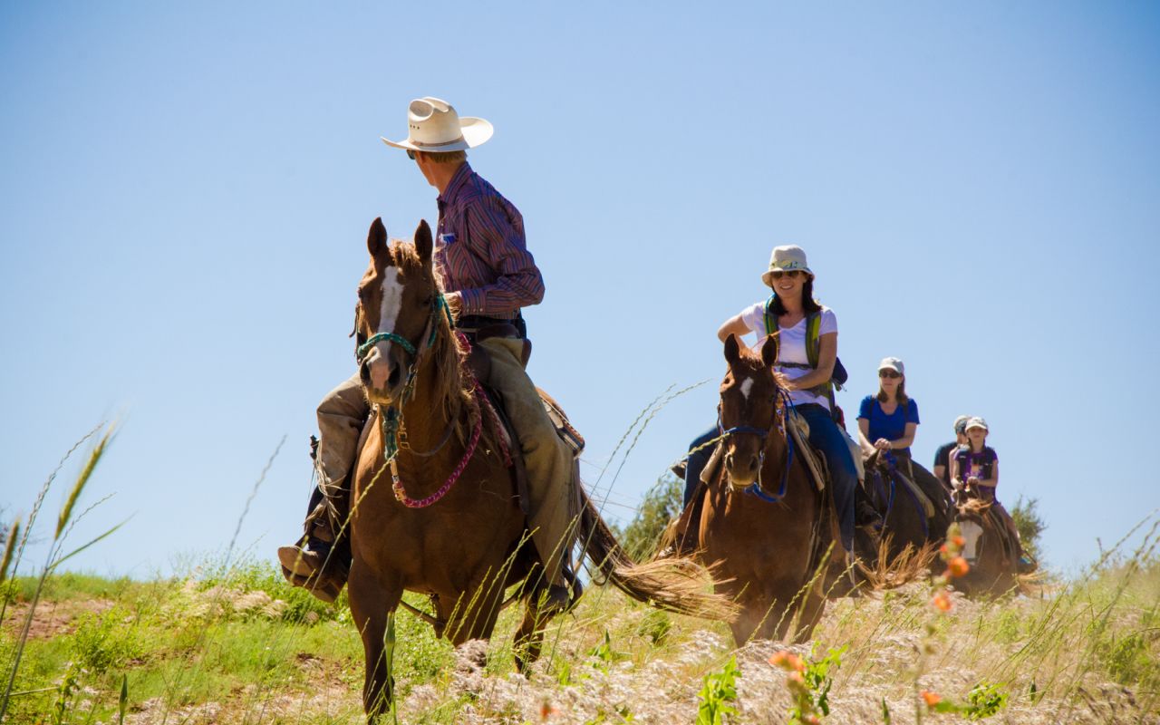 Zion Mountain Ranch | Photo Gallery | 8 - Horseback Riding Tours Zion Mountain Ranch offers guided horseback tours for guests of any riding ability. Choose from 1, 2 or 4 hour rides through the mountain surrounding Zion National Park.