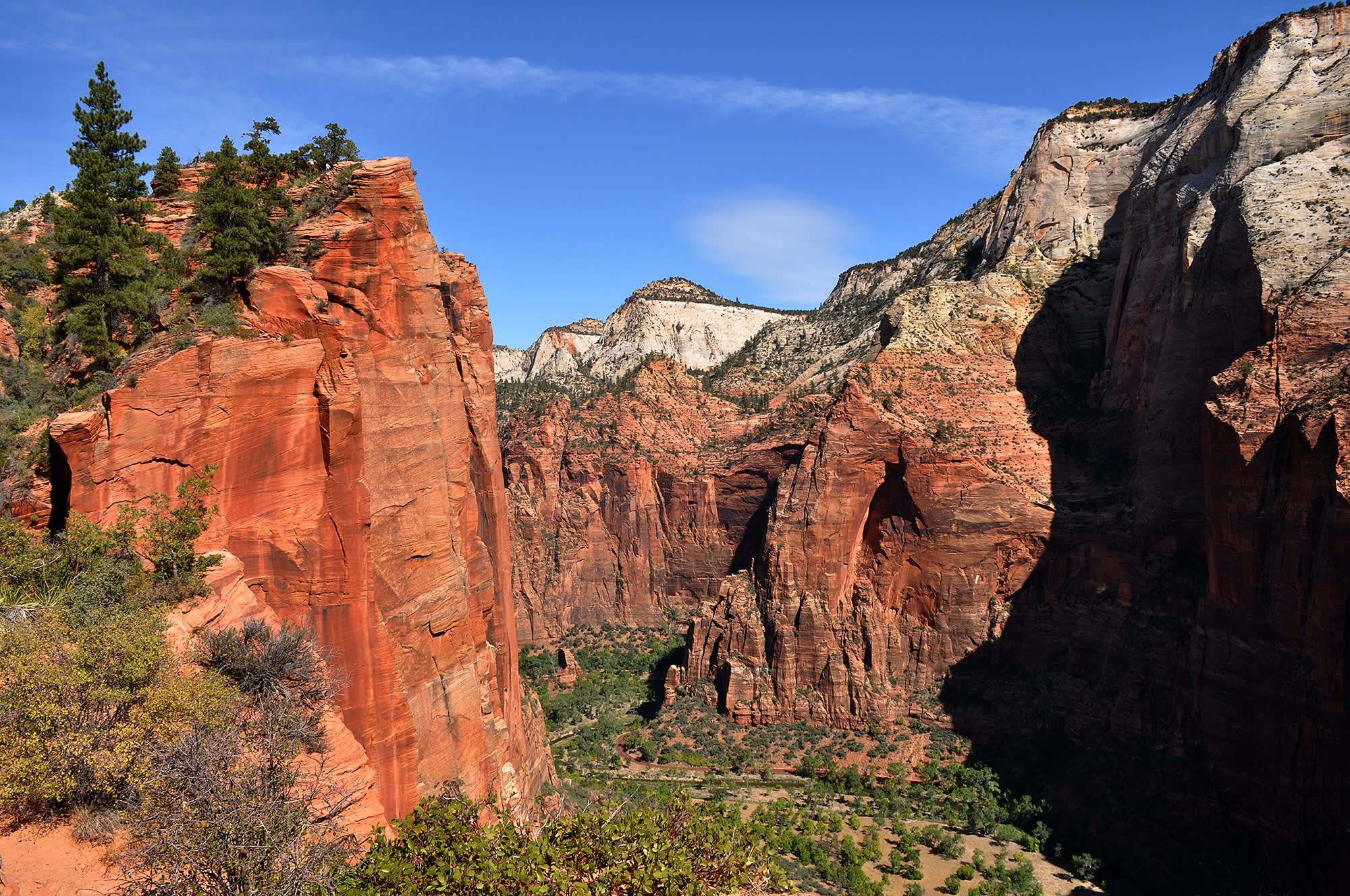 Rock Climbing in Zion with Mary Harlan