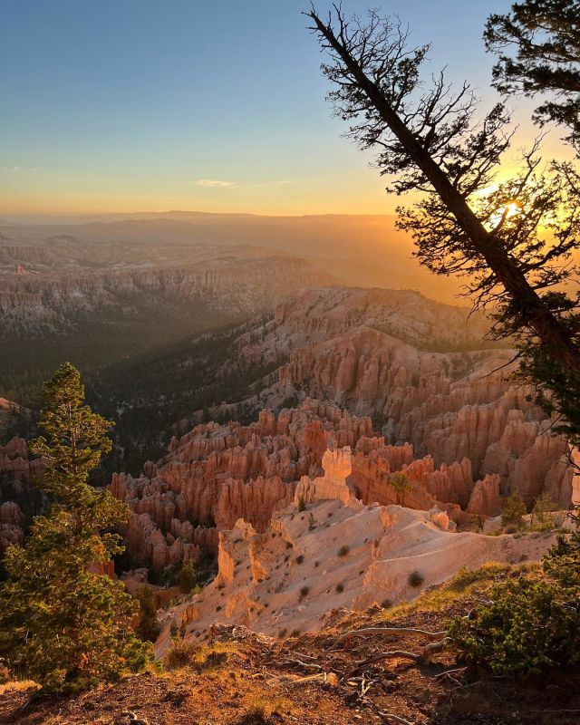 Canyon Fever Guides | Photo Gallery | 0 - Come experience Bryce with private, customized tour!