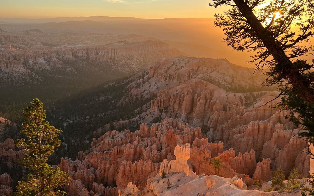 Canyon Fever Guides | Photo Gallery | 0 - Come experience Bryce with private, customized tour!