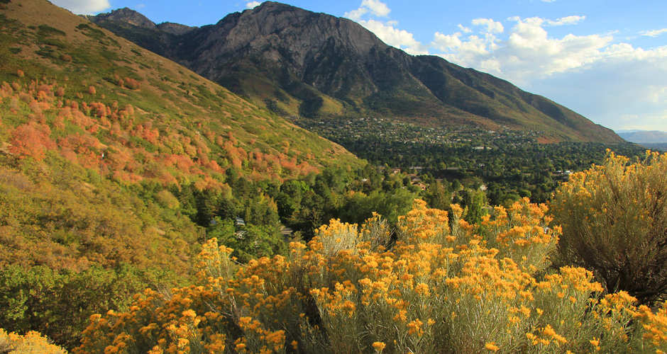 View of fall leaves by Emigration Canyon in Salt Lake county