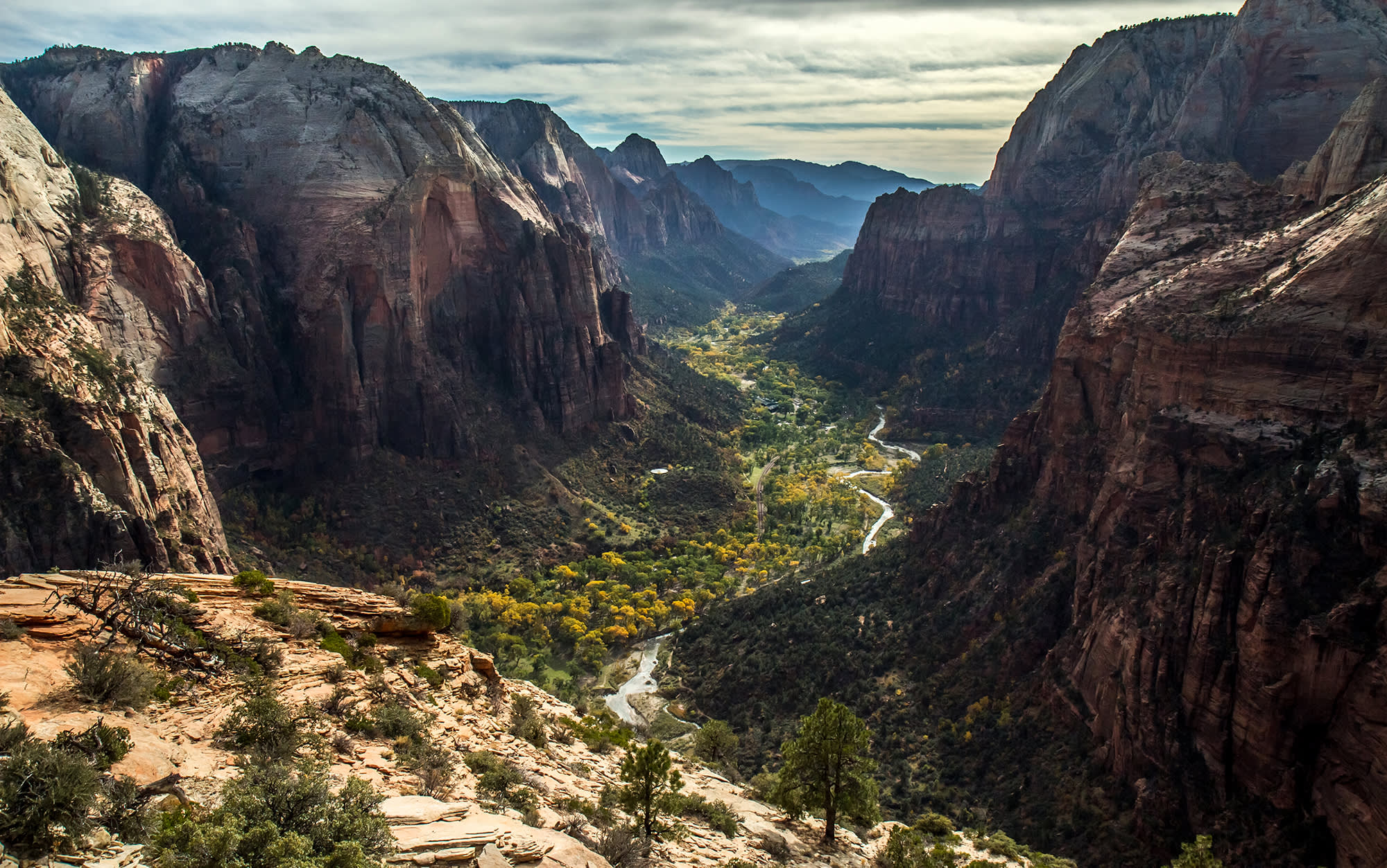 Breathtaking but Deadly: How to Safely Hike Angels Landing