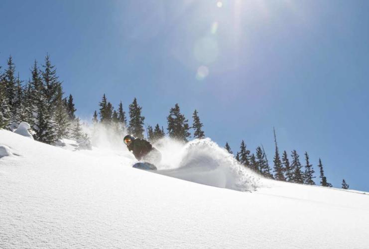 Beaver Photo Gallery 1 Beaver Skiing