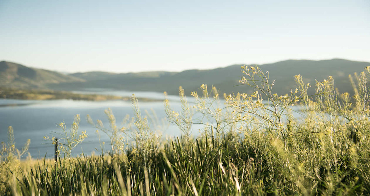 Utah's Wasatch Back Region | Utah.com