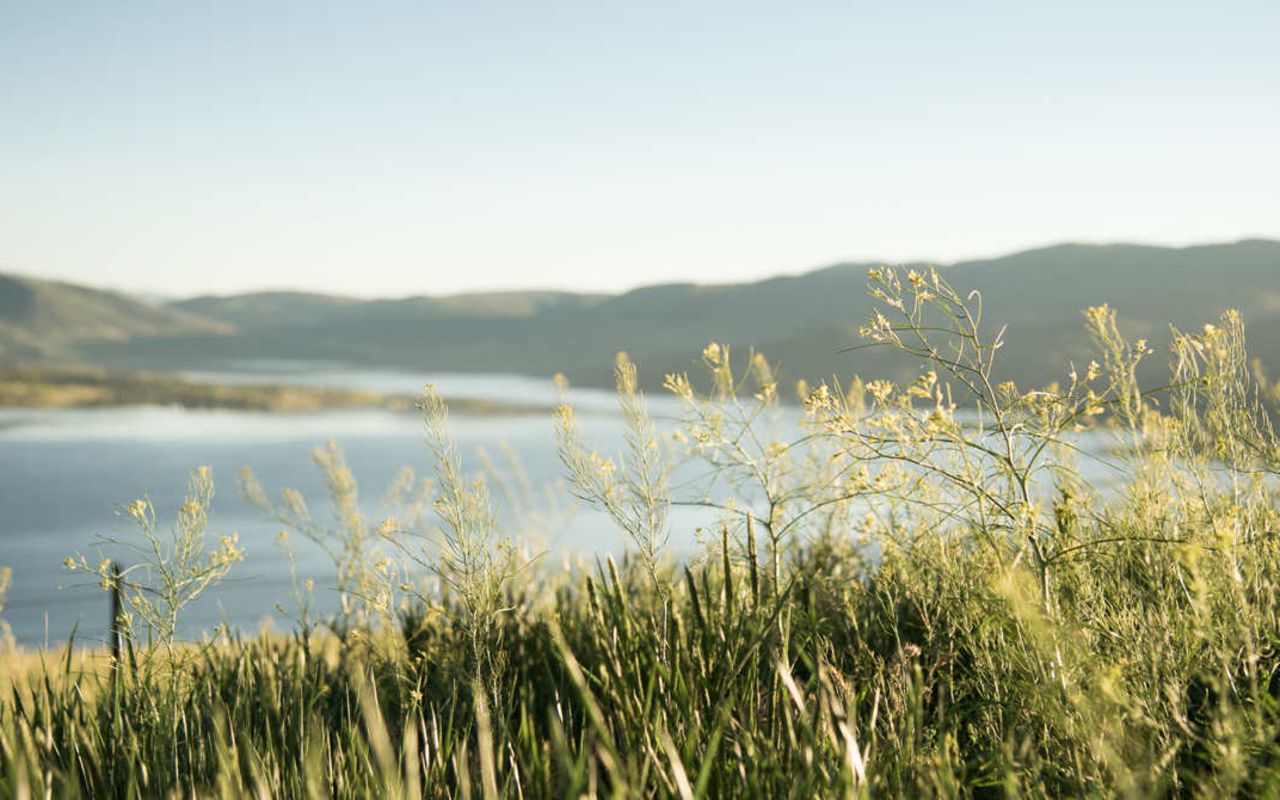 Wasatch Back Region | Photo Gallery | 0 - View of grassy hill with Jordanelle State Park