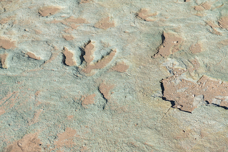 Mill Canyon Dinosaur Trail | Utah.com