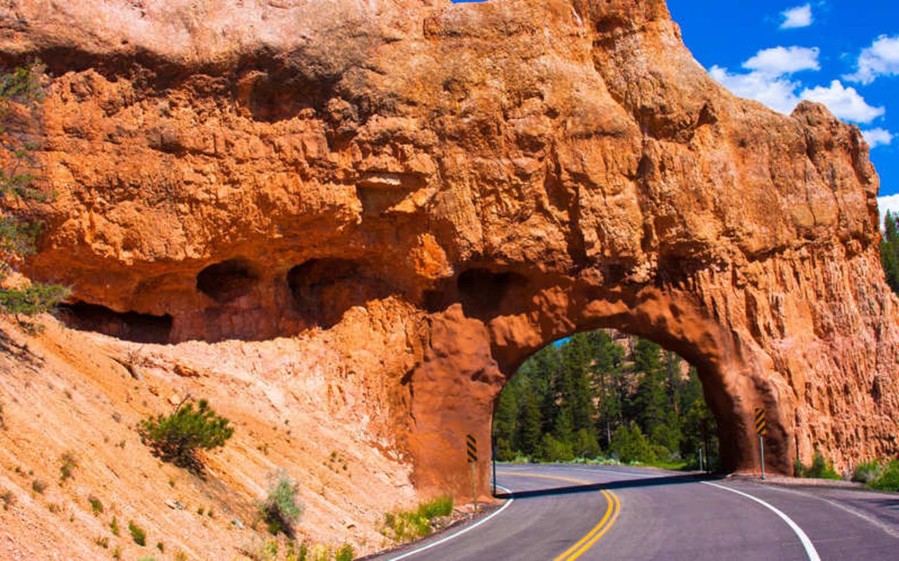 Bryce Canyon Scenic Drives | Photo Gallery | 0