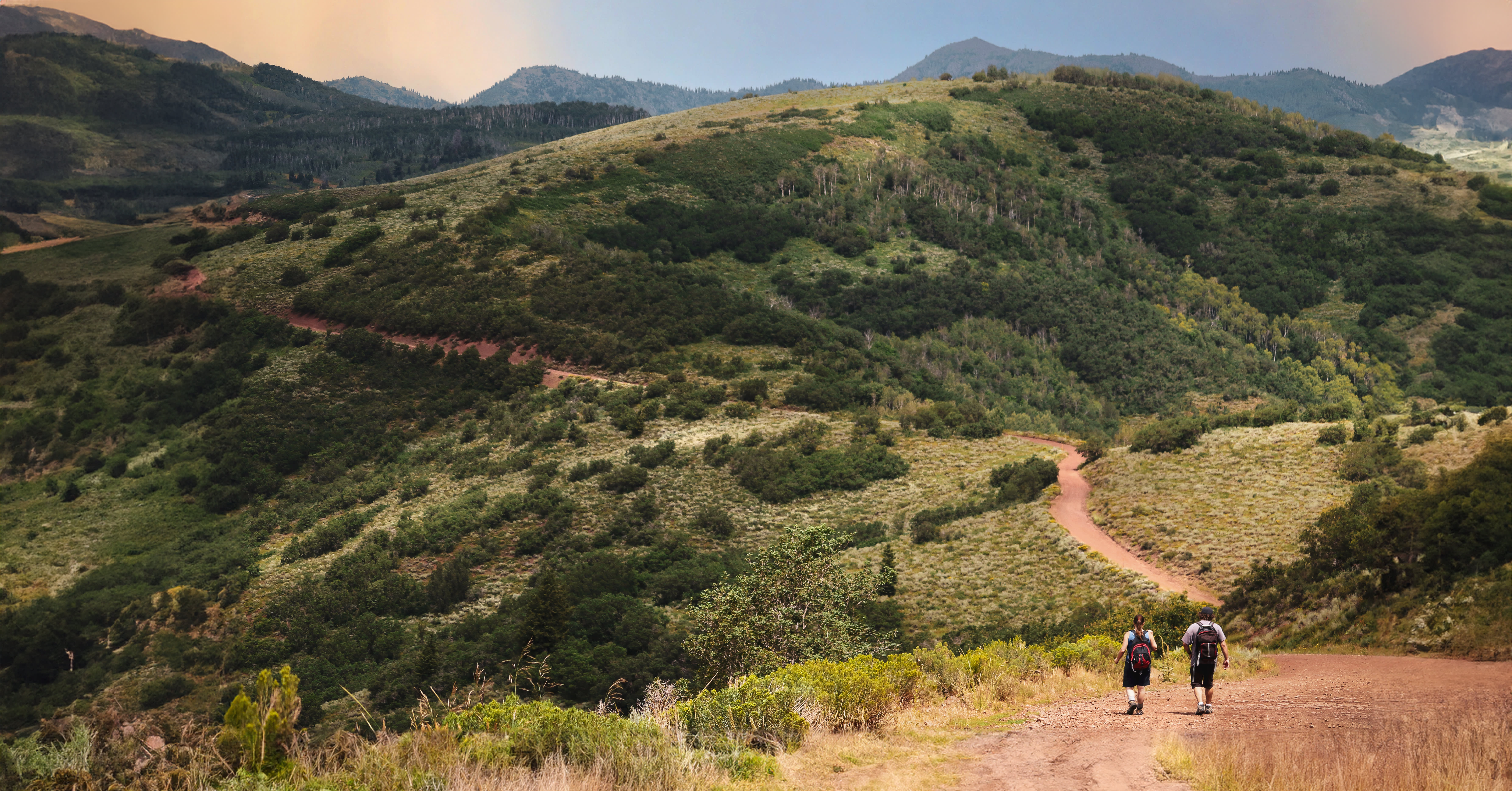 Turkey Creek Trail, This seldom used trail offers vistas an…