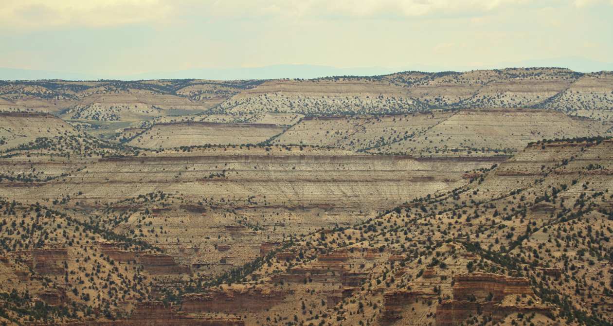 Indian Canyon Scenic Drive