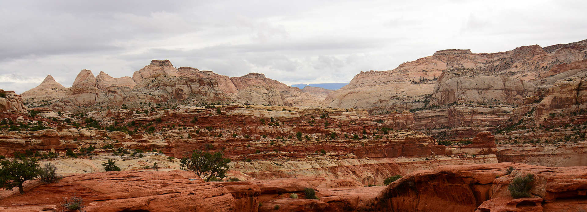 Capitol reef 2024 cassidy arch