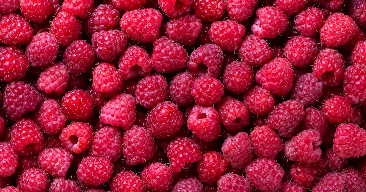 Bear Lake Raspberry Days Festival | Utah.com