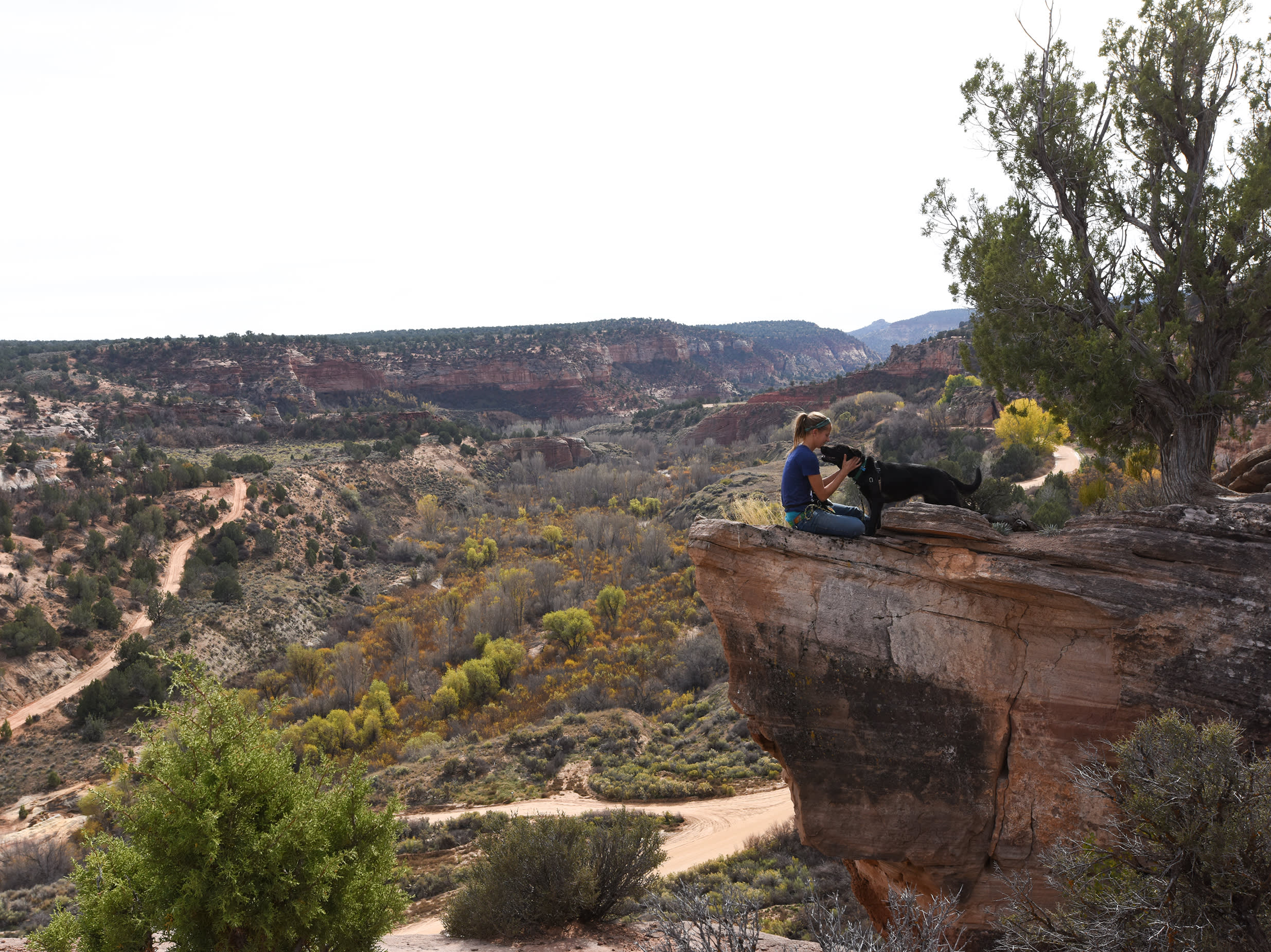 BestFriendsHeroImage - A woman pets a dog on a cliffside overlooking a desert canyon. 