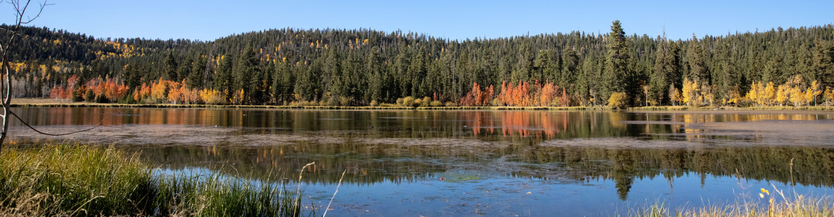 Duck Creek Village | Utah.com