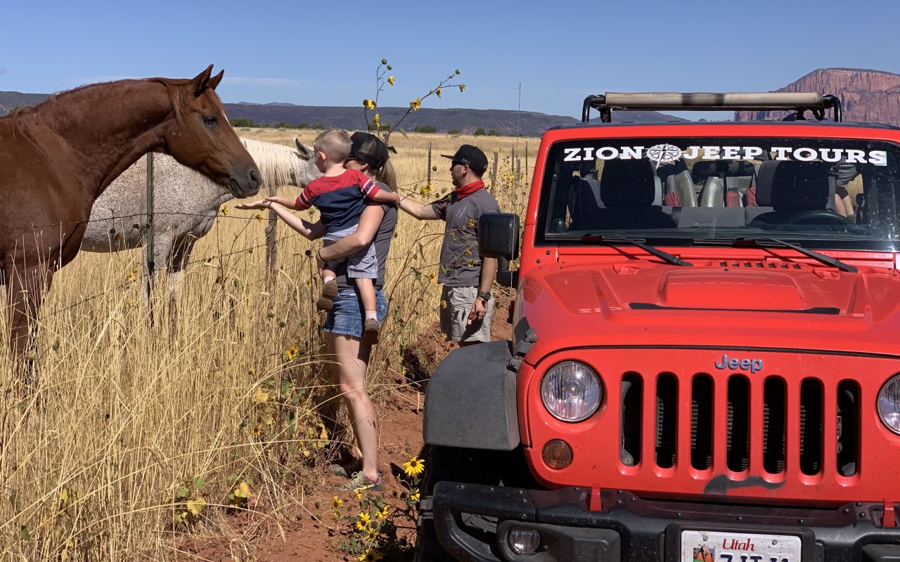Zion Jeep Tours | Photo Gallery | 2 - Enjoy the wildlife on your tour. 
