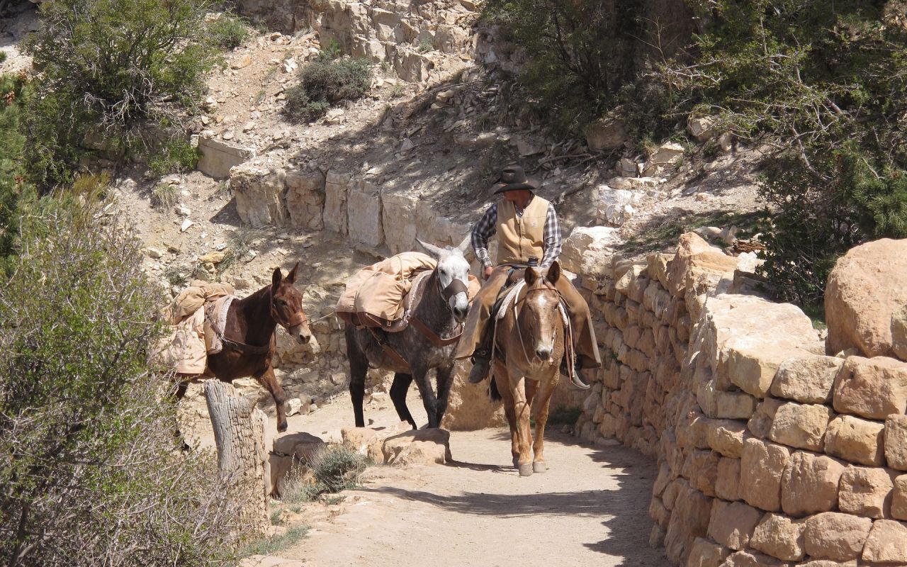 Grand Canyon Itinerary | Photo Gallery | 1 - Grand Canyon Mule Ride