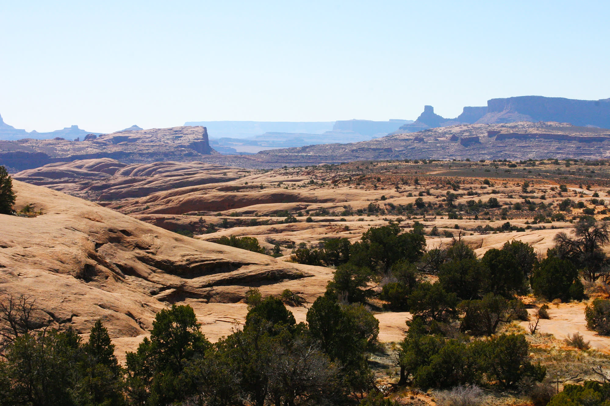 National Park Paws is dog info for American National Parks & protected  public lands