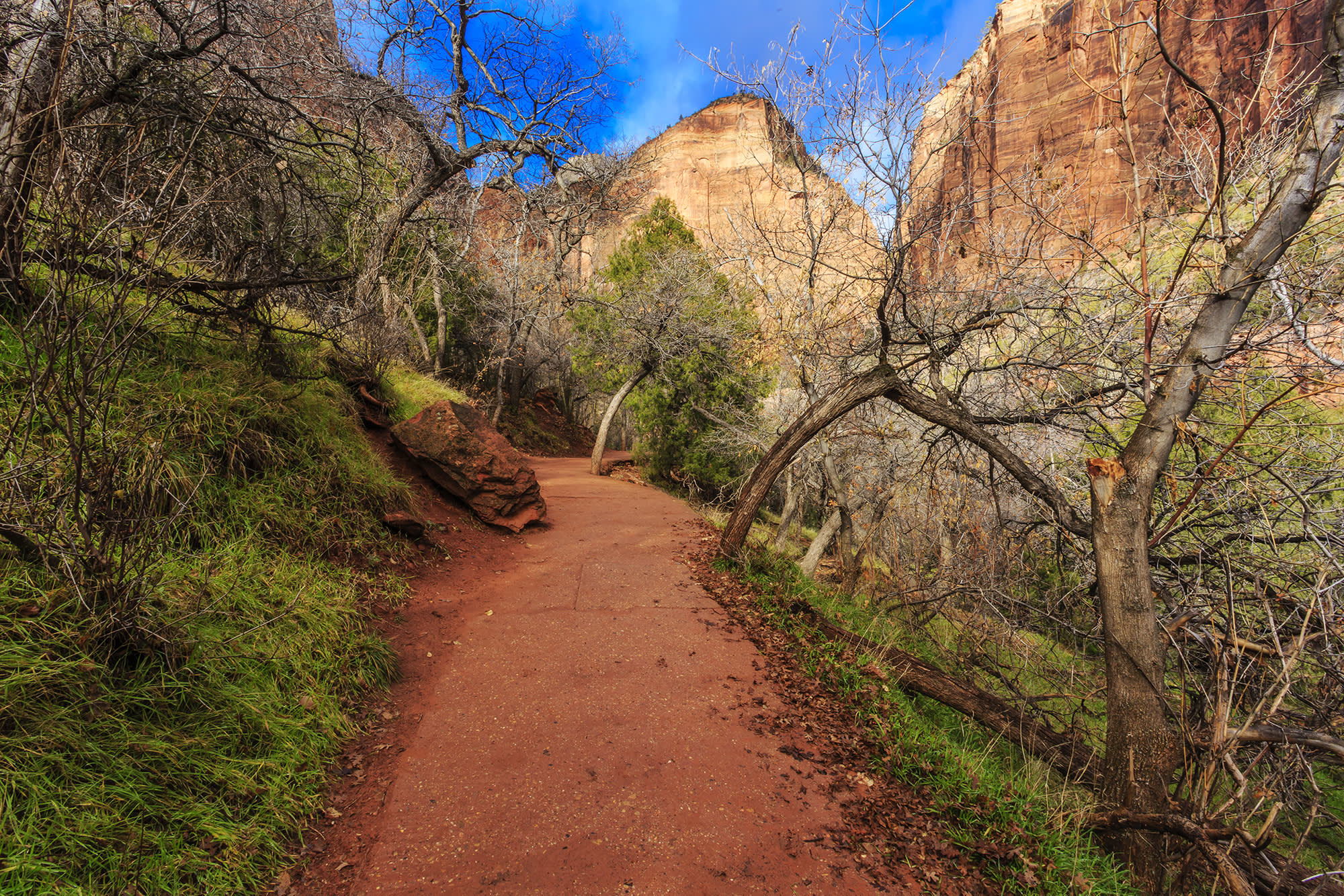 Zion's 5 Best Short & Easy Hikes