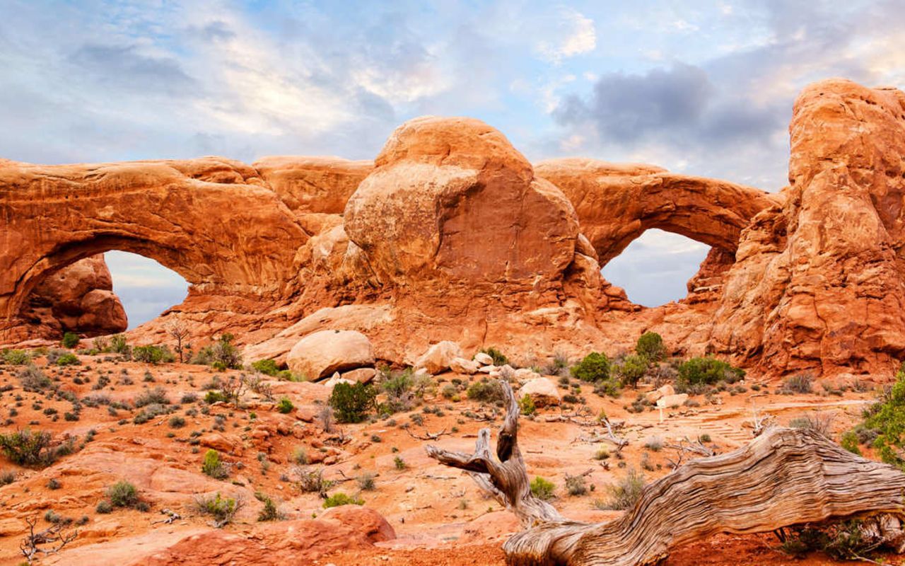 Windows | Photo Gallery | 0 - Arches Travel Guides