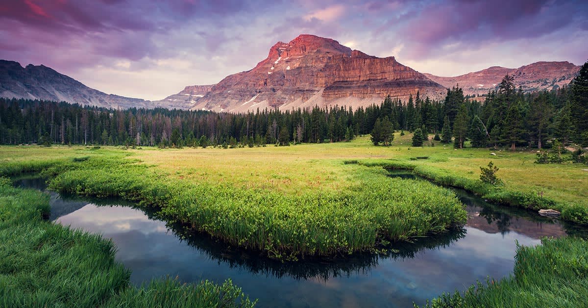 uinta