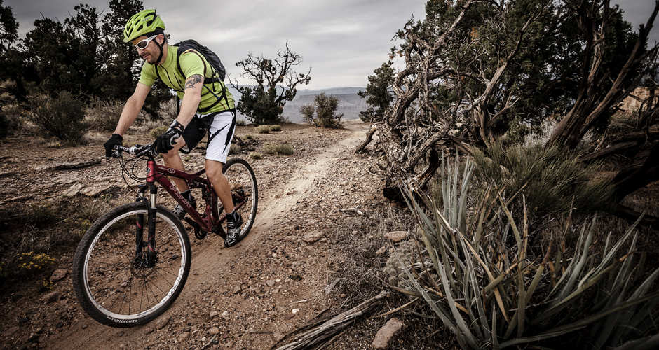 Mountain biking hot sale near zion