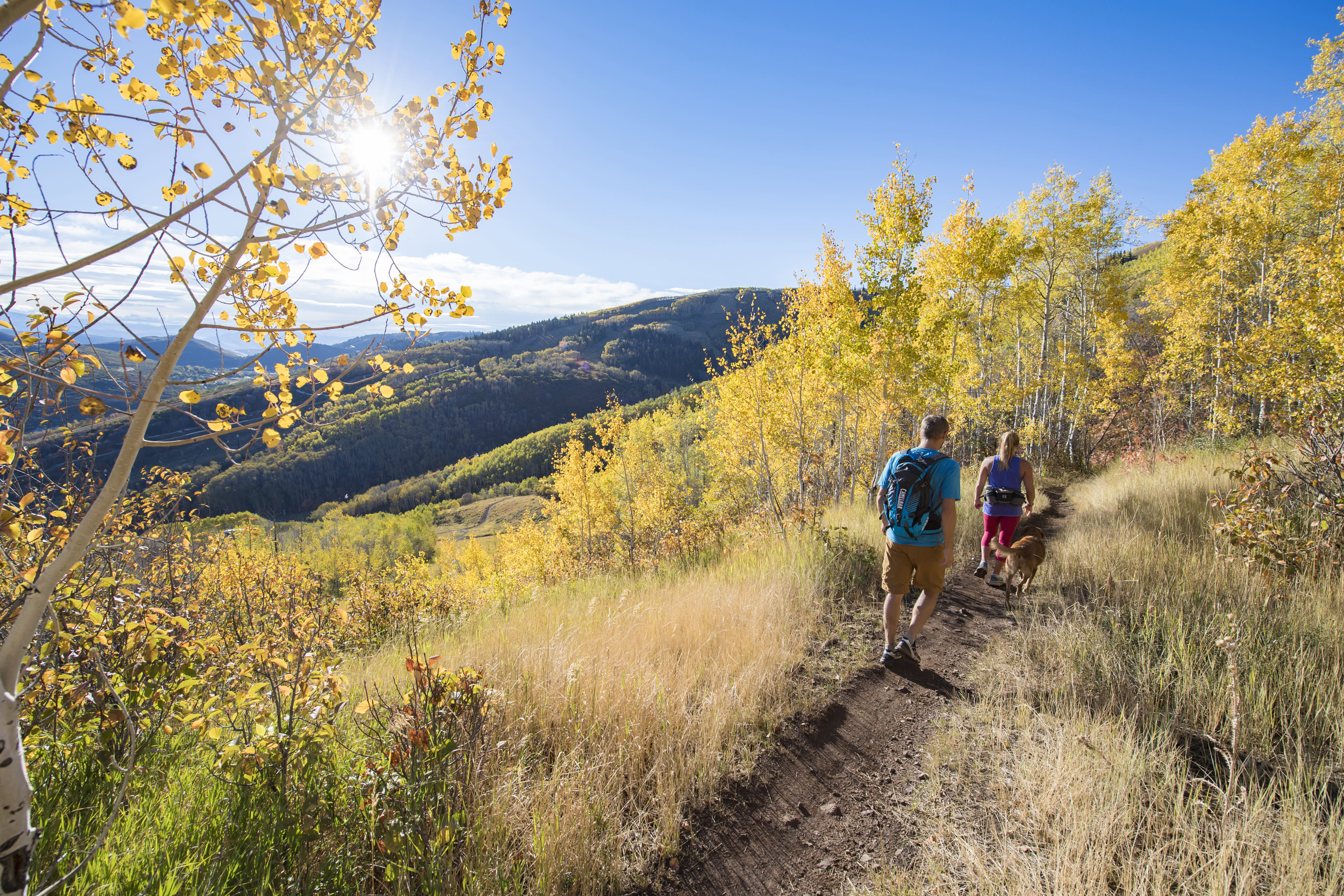 Top Summer Hikes in Park City