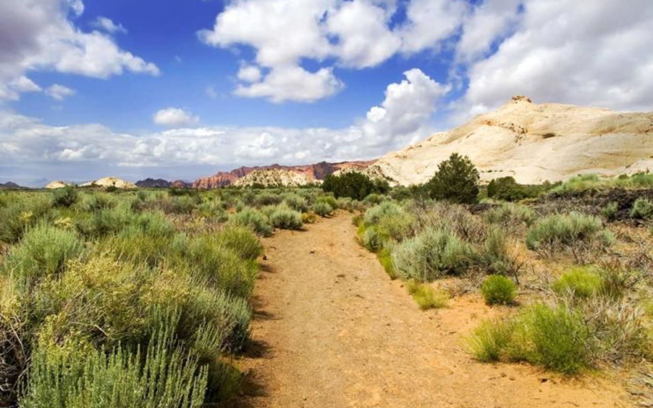 Snow Canyon | Photo Gallery | 0 - Dirt trail and sagebrush in Snow Canyon