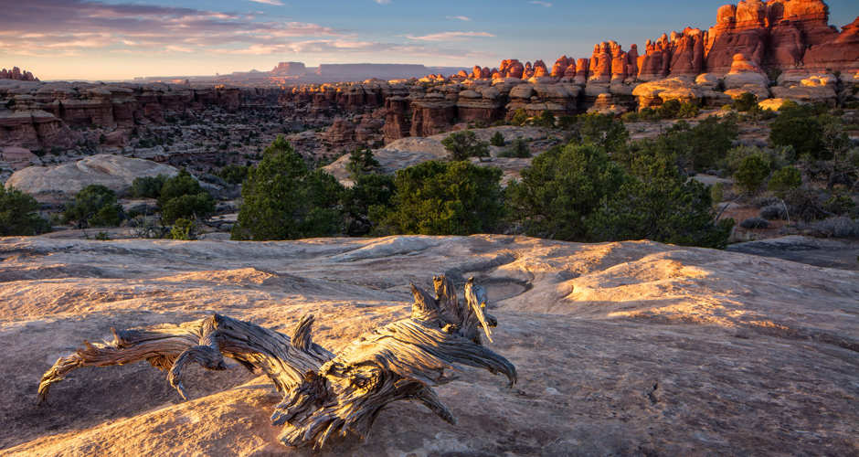 Canyonlands national hotsell park trails