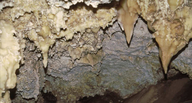 Timpanogos Cave Hike | Photo Gallery | 1 - Stalagmites in Timpanogos Caves