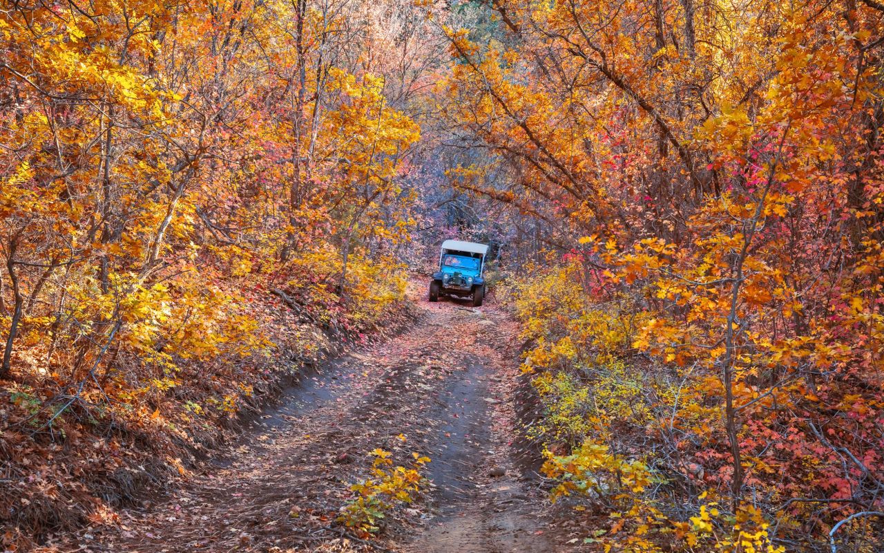 East Zion Jeep Tours | Photo Gallery | 12 - Brushy Cove Fall