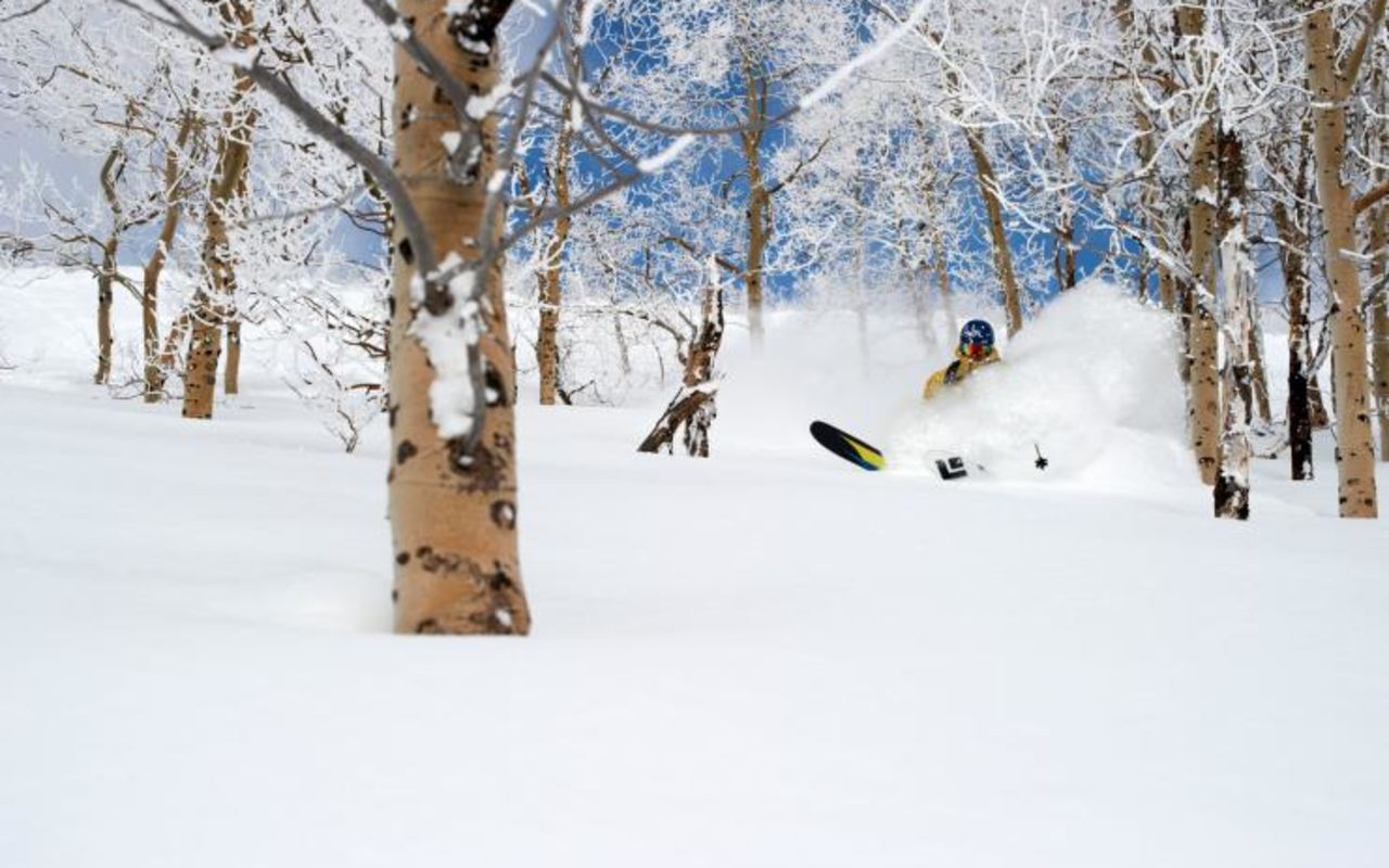 Ogden | Photo Gallery | 9 - Powder Mountain Skiing