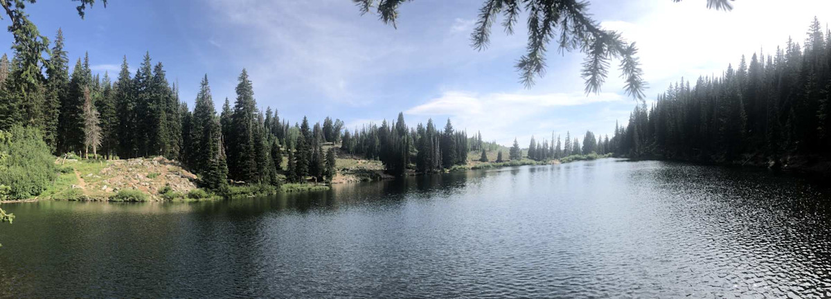 Bloods Lake Trail