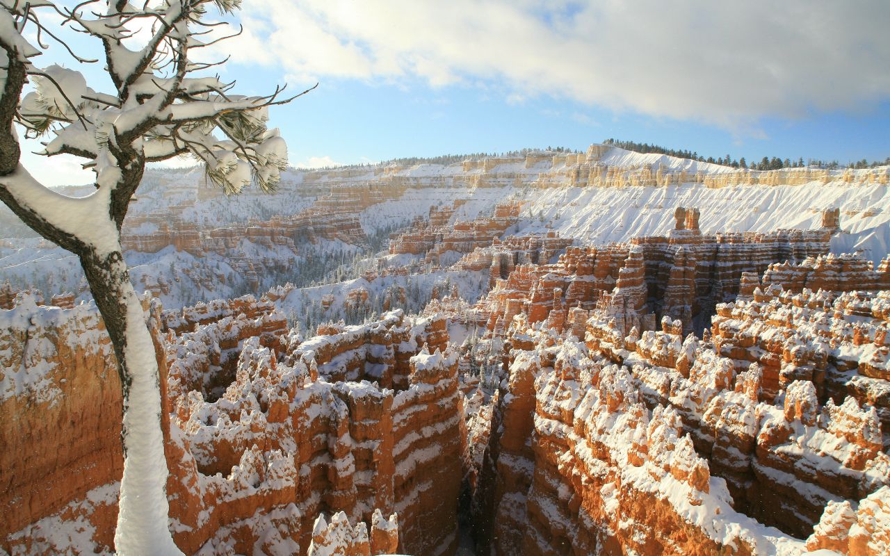 Best Western Plus Ruby's Inn | Photo Gallery | 8 - Open All Year Winter is one of the most magical times of the year at Bryce Canyon National Park. Take advantage of low rates and practically no crowds. Winter activities include ice skating, cross-country skiing, sleigh rides, snowshoeing, and snowmobiling.