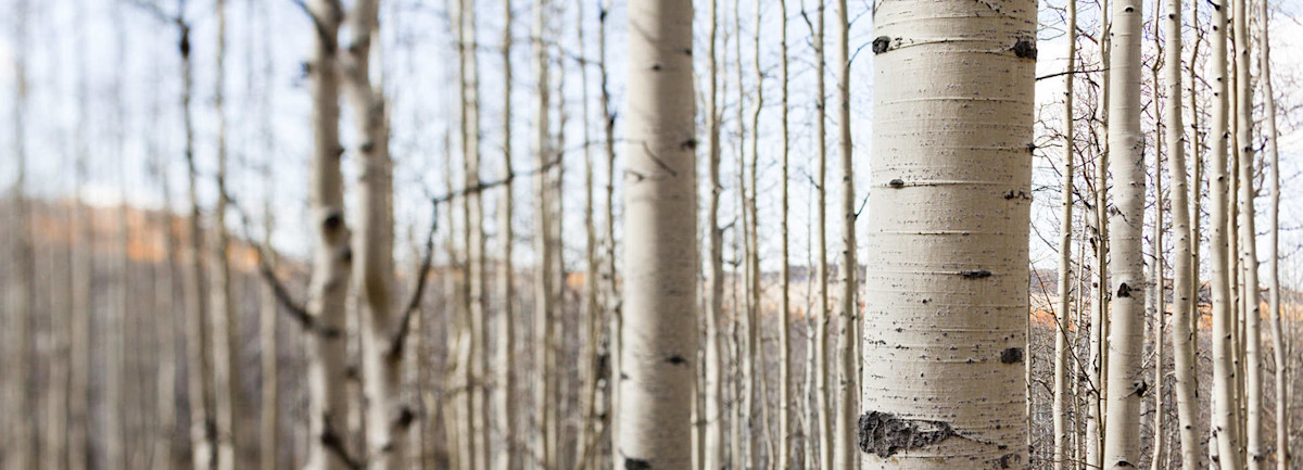Arapeen Trail | Utah.com