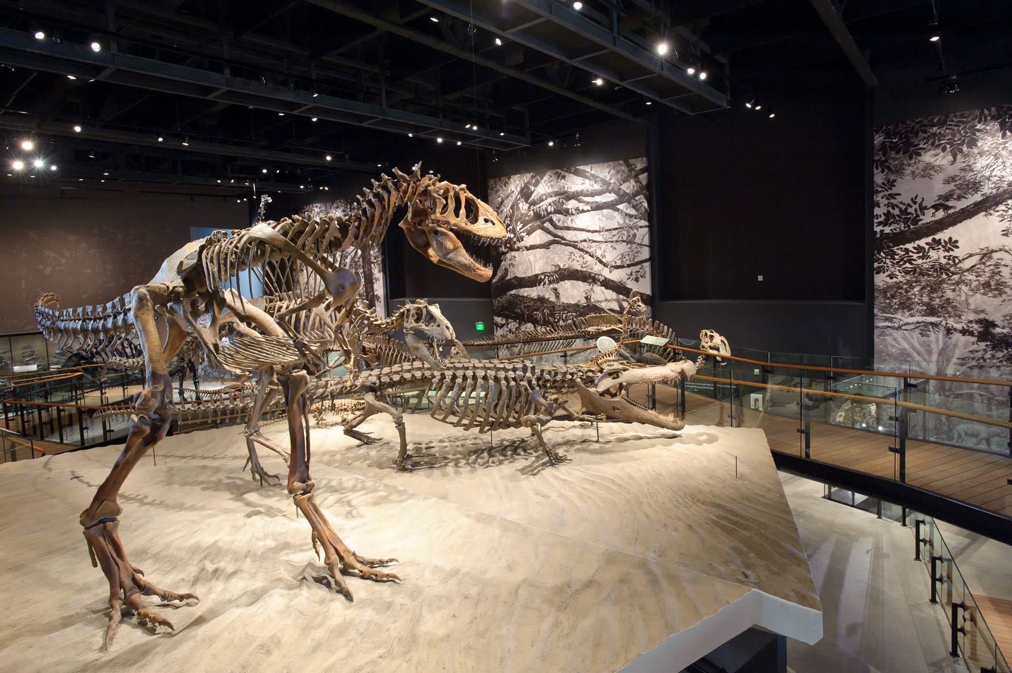 3 Reasons You Should Visit the Natural History Museum of Utah