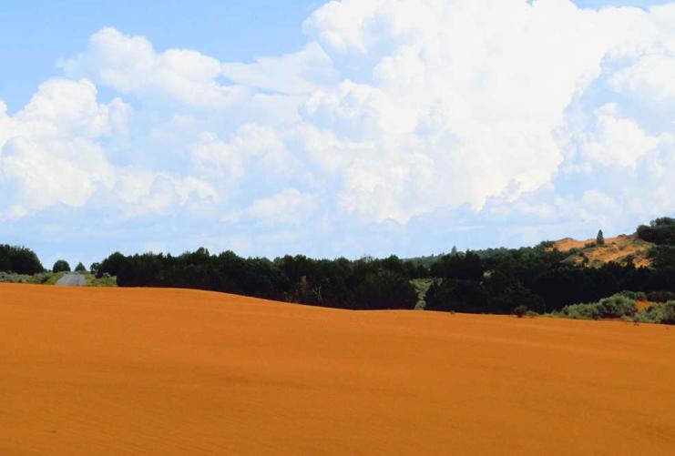 Coral Pink Sand Dunes State Park | Utah.com