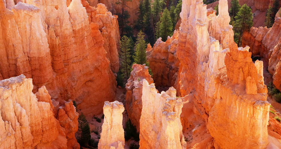 Amphitheater | Photo Gallery | 0 - Bryce Canyon National Park