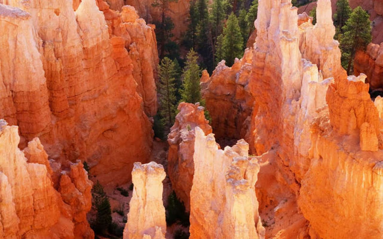 Amphitheater | Photo Gallery | 0 - Bryce Canyon National Park