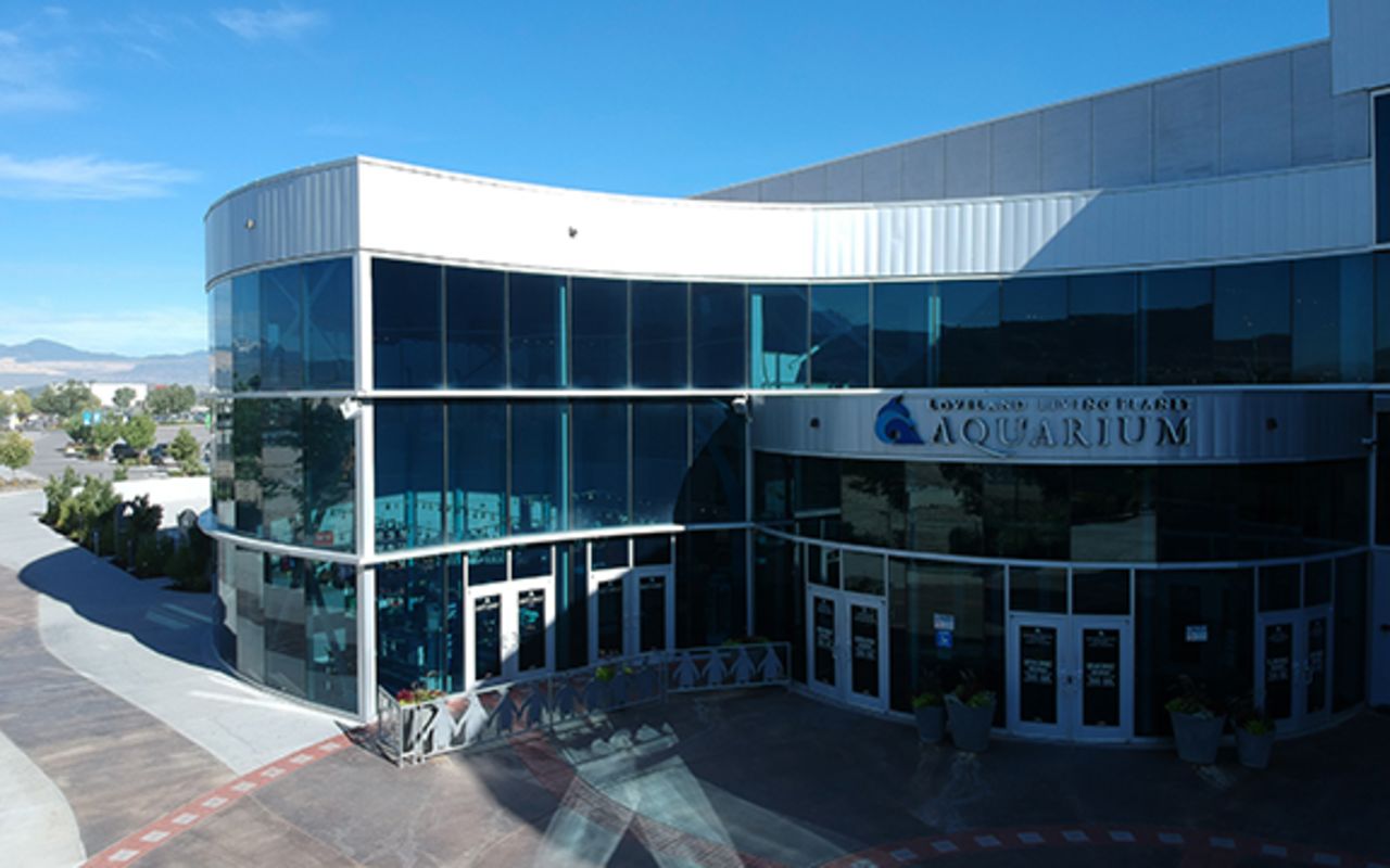 Main Entrance Loveland Planet Aquarium