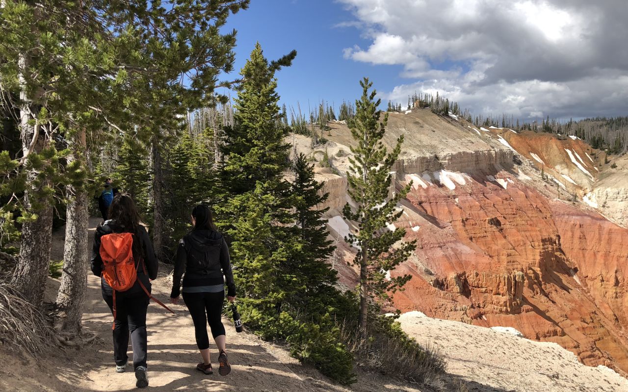 Cedar Breaks Scenic Drive | Photo Gallery | 0 -  Spectra Point is both pretty and short, like that other tart Tinkerbell. Located in Cedar Breaks National Monument, it's a high-elevation stroll to a magical overlook.