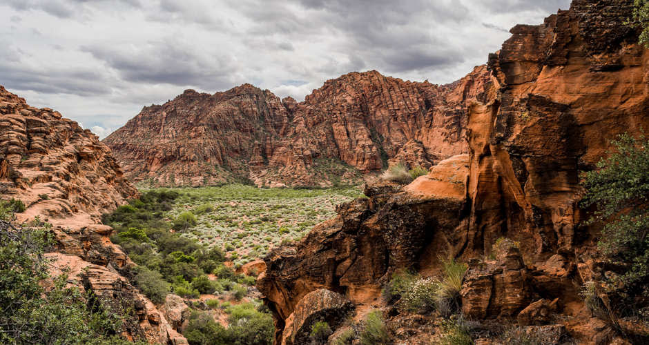 View of Redrocks and Desert Plants in Snow Canyon State Park near St. George Utah