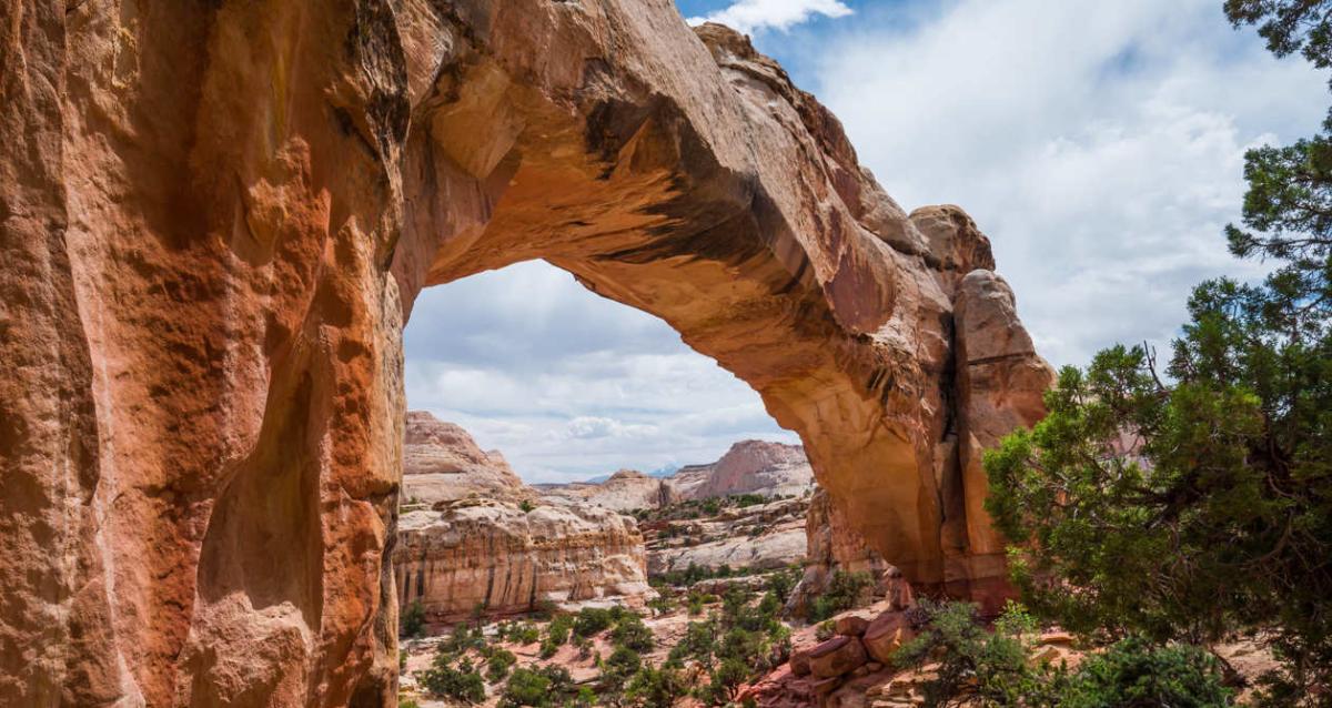 Hickman bridge capitol sale reef national park