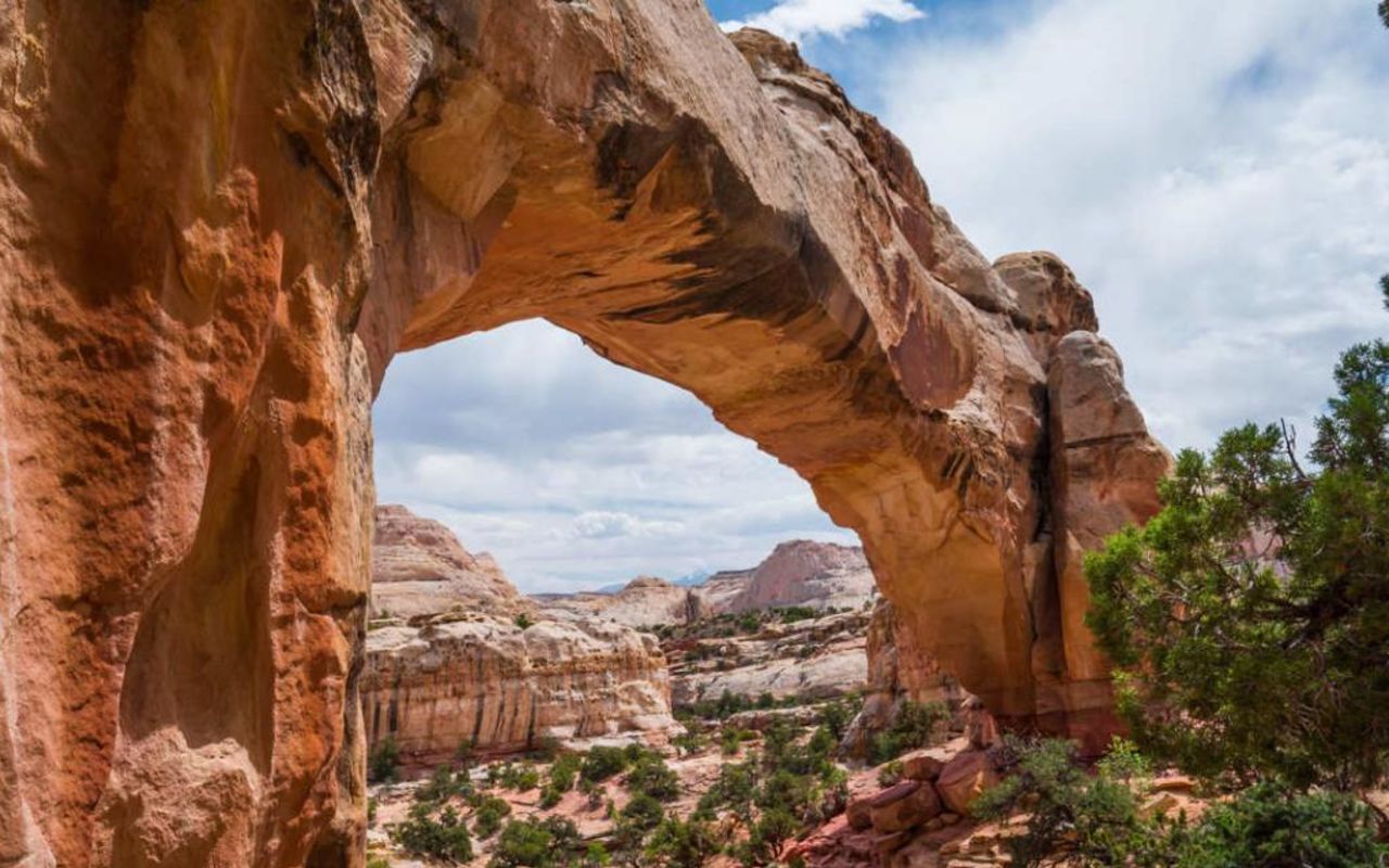 Guide to Capitol Reef National Park | Photo Gallery | 0 - Capitol Reef Free Travel Guide