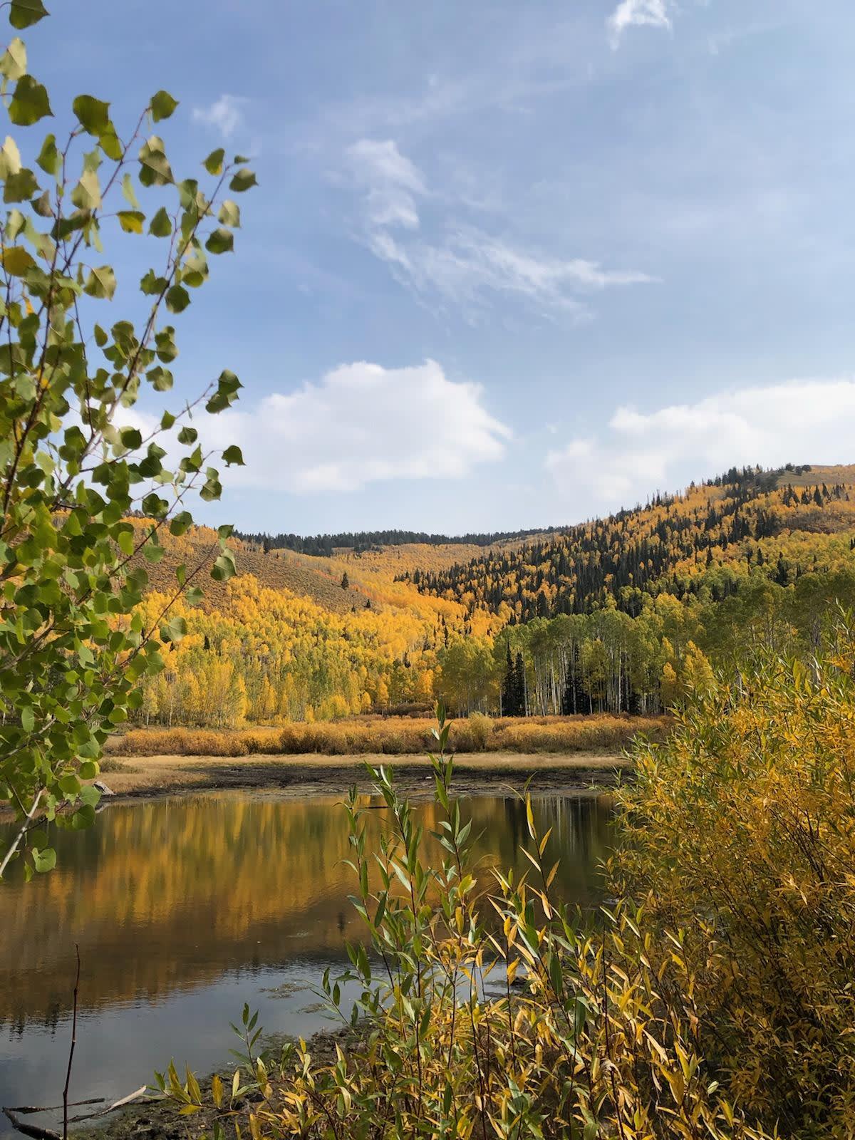 Day Trippin': Best Hikes to See Fall Leaves in Northern Utah