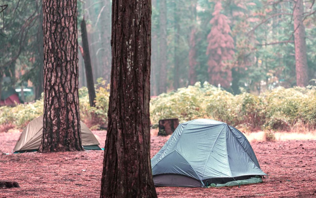 Wake up surrounded by nature and nestled in the midst of a Ponderosa Pine forest. 