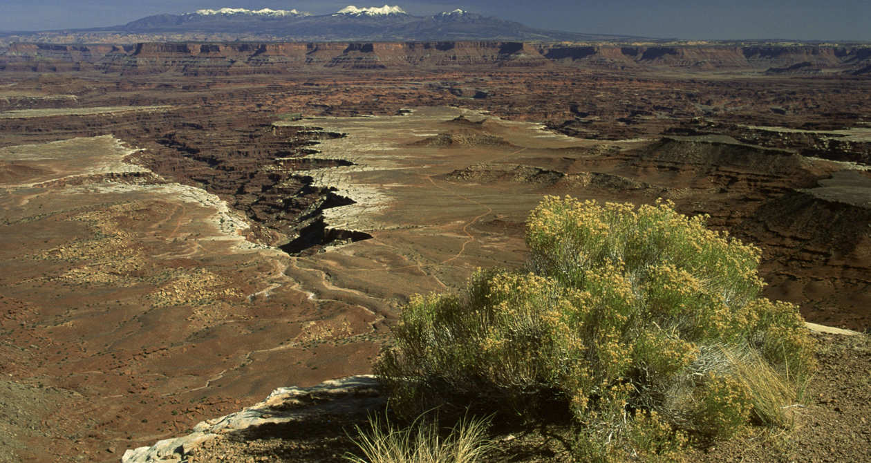 Guide to Canyonlands National Park | Photo Gallery | 1 - Canyonlands Travel Guide