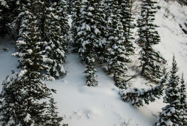 Cache Valley - Snowmobile | Photo Gallery | 1 - Snowshoeing in Utah